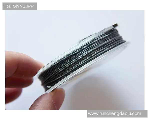 从零起步掌握极限运动力量训练的全面指南与实用技巧