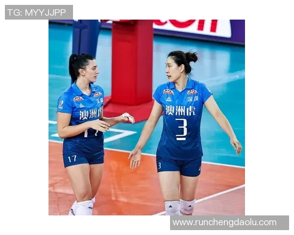 深圳排球队的默契配合分析与战术探讨 深圳排球队的默契配合分析与战术探讨