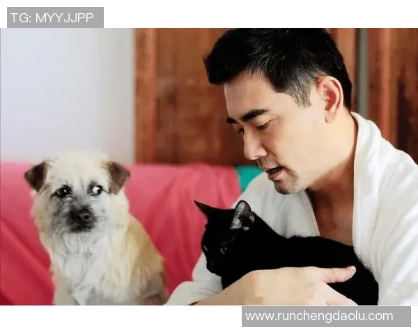 足球明星与猫咪的亲密关系谁是养猫最多的球场巨星 足球明星与猫咪的亲密关系谁是养猫最多的球场巨星