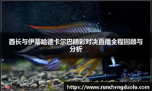 酋长与伊蒂哈德卡尔巴精彩对决直播全程回顾与分析