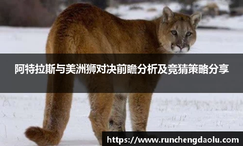 阿特拉斯与美洲狮对决前瞻分析及竞猜策略分享